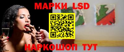 apvp Бийск