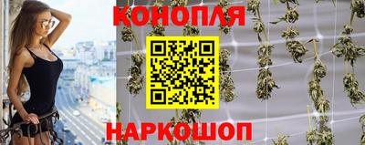 apvp Бийск