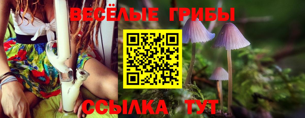 где можно купить наркотик  Вход с VPN  Псилоцибиновые грибы MAGIC MUSHROOMS  Кимовск  Галлюциногенные грибы GOLDEN TEACHER 