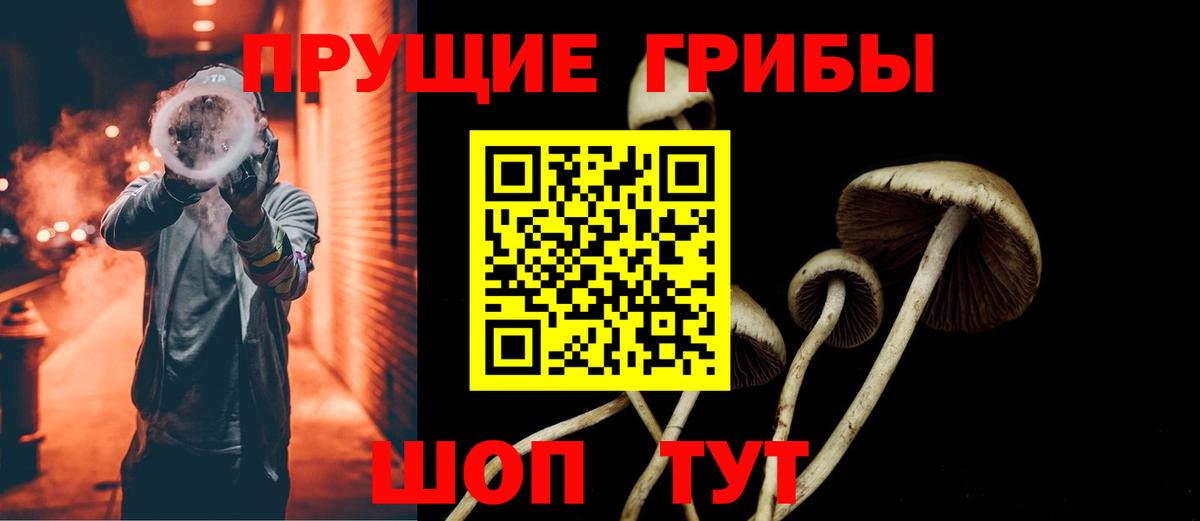 Псилоцибиновые грибы Cubensis Кимовск